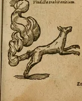 An illustration from Symbola heroica m. Clavdii Paradini, Belliiocensis canonici, et d. Gabrielis Symeonis : multo, quàm antea, fidelius de gallica lingua in latinam conuersa (1600)