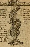 An illustration from Symbola heroica m. Clavdii Paradini, Belliiocensis canonici, et d. Gabrielis Symeonis : multo, quàm antea, fidelius de gallica lingua in latinam conuersa (1600)