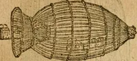 An illustration from Symbola heroica m. Clavdii Paradini, Belliiocensis canonici, et d. Gabrielis Symeonis : multo, quàm antea, fidelius de gallica lingua in latinam conuersa (1600)