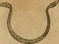 An illustration from Symbola heroica m. Clavdii Paradini, Belliiocensis canonici, et d. Gabrielis Symeonis : multo, quàm antea, fidelius de gallica lingua in latinam conuersa (1600)