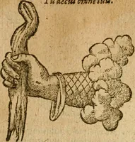 An illustration from Symbola heroica m. Clavdii Paradini, Belliiocensis canonici, et d. Gabrielis Symeonis : multo, quàm antea, fidelius de gallica lingua in latinam conuersa (1600)