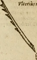 An illustration from Symbola heroica m. Clavdii Paradini, Belliiocensis canonici, et d. Gabrielis Symeonis : multo, quàm antea, fidelius de gallica lingua in latinam conuersa (1600)