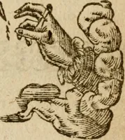 An illustration from Symbola heroica m. Clavdii Paradini, Belliiocensis canonici, et d. Gabrielis Symeonis : multo, quàm antea, fidelius de gallica lingua in latinam conuersa (1600)
