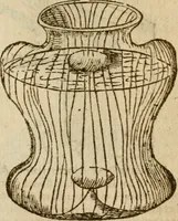 An illustration from Symbola heroica m. Clavdii Paradini, Belliiocensis canonici, et d. Gabrielis Symeonis : multo, quàm antea, fidelius de gallica lingua in latinam conuersa (1600)
