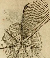An illustration from Symbola heroica m. Clavdii Paradini, Belliiocensis canonici, et d. Gabrielis Symeonis : multo, quàm antea, fidelius de gallica lingua in latinam conuersa (1600)