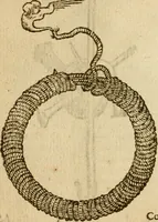 An illustration from Symbola heroica m. Clavdii Paradini, Belliiocensis canonici, et d. Gabrielis Symeonis : multo, quàm antea, fidelius de gallica lingua in latinam conuersa (1600)