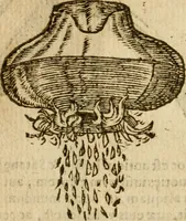 An illustration from Symbola heroica m. Clavdii Paradini, Belliiocensis canonici, et d. Gabrielis Symeonis : multo, quàm antea, fidelius de gallica lingua in latinam conuersa (1600)