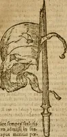 An illustration from Symbola heroica m. Clavdii Paradini, Belliiocensis canonici, et d. Gabrielis Symeonis : multo, quàm antea, fidelius de gallica lingua in latinam conuersa (1600)