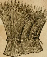 An illustration from Symbola heroica m. Clavdii Paradini, Belliiocensis canonici, et d. Gabrielis Symeonis : multo, quàm antea, fidelius de gallica lingua in latinam conuersa (1600)