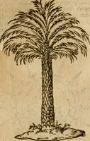 An illustration from Symbola heroica m. Clavdii Paradini, Belliiocensis canonici, et d. Gabrielis Symeonis : multo, quàm antea, fidelius de gallica lingua in latinam conuersa (1600)