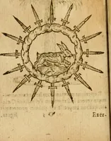 Picture 140 of 210 from Symbola heroica m. Clavdii Paradini, Belliiocensis canonici, et d. Gabrielis Symeonis : multo, quàm antea, fidelius de gallica lingua in latinam conuersa (1600), leaf 221