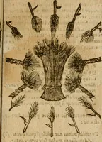 An illustration from Symbola heroica m. Clavdii Paradini, Belliiocensis canonici, et d. Gabrielis Symeonis : multo, quàm antea, fidelius de gallica lingua in latinam conuersa (1600)