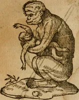 An illustration from Symbola heroica m. Clavdii Paradini, Belliiocensis canonici, et d. Gabrielis Symeonis : multo, quàm antea, fidelius de gallica lingua in latinam conuersa (1600)