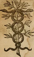 An illustration from Symbola heroica m. Clavdii Paradini, Belliiocensis canonici, et d. Gabrielis Symeonis : multo, quàm antea, fidelius de gallica lingua in latinam conuersa (1600)