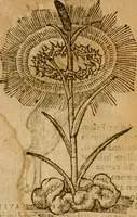 An illustration from Symbola heroica m. Clavdii Paradini, Belliiocensis canonici, et d. Gabrielis Symeonis : multo, quàm antea, fidelius de gallica lingua in latinam conuersa (1600)
