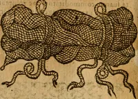 An illustration from Symbola heroica m. Clavdii Paradini, Belliiocensis canonici, et d. Gabrielis Symeonis : multo, quàm antea, fidelius de gallica lingua in latinam conuersa (1600)