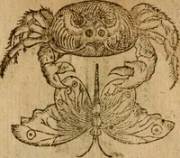 An illustration from Symbola heroica m. Clavdii Paradini, Belliiocensis canonici, et d. Gabrielis Symeonis : multo, quàm antea, fidelius de gallica lingua in latinam conuersa (1600)