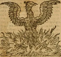 An illustration from Symbola heroica m. Clavdii Paradini, Belliiocensis canonici, et d. Gabrielis Symeonis : multo, quàm antea, fidelius de gallica lingua in latinam conuersa (1600)
