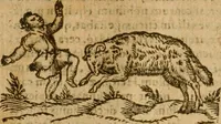 An illustration from Symbola heroica m. Clavdii Paradini, Belliiocensis canonici, et d. Gabrielis Symeonis : multo, quàm antea, fidelius de gallica lingua in latinam conuersa (1600)