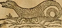 An illustration from Symbola heroica m. Clavdii Paradini, Belliiocensis canonici, et d. Gabrielis Symeonis : multo, quàm antea, fidelius de gallica lingua in latinam conuersa (1600)