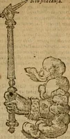 An illustration from Symbola heroica m. Clavdii Paradini, Belliiocensis canonici, et d. Gabrielis Symeonis : multo, quàm antea, fidelius de gallica lingua in latinam conuersa (1600)