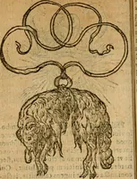 Picture 23 of 210 from Symbola heroica m. Clavdii Paradini, Belliiocensis canonici, et d. Gabrielis Symeonis : multo, quàm antea, fidelius de gallica lingua in latinam conuersa (1600), leaf 49