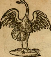 An illustration from Symbola heroica m. Clavdii Paradini, Belliiocensis canonici, et d. Gabrielis Symeonis : multo, quàm antea, fidelius de gallica lingua in latinam conuersa (1600)