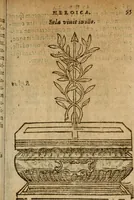 Picture 28 of 210 from Symbola heroica m. Clavdii Paradini, Belliiocensis canonici, et d. Gabrielis Symeonis : multo, quàm antea, fidelius de gallica lingua in latinam conuersa (1600), leaf 58