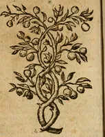 An illustration from Symbola heroica m. Clavdii Paradini, Belliiocensis canonici, et d. Gabrielis Symeonis : multo, quàm antea, fidelius de gallica lingua in latinam conuersa (1600)
