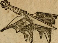 An illustration from Symbola heroica m. Clavdii Paradini, Belliiocensis canonici, et d. Gabrielis Symeonis : multo, quàm antea, fidelius de gallica lingua in latinam conuersa (1600)
