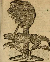 An illustration from Symbola heroica m. Clavdii Paradini, Belliiocensis canonici, et d. Gabrielis Symeonis : multo, quàm antea, fidelius de gallica lingua in latinam conuersa (1600)