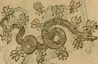 An illustration from Symbola heroica m. Clavdii Paradini, Belliiocensis canonici, et d. Gabrielis Symeonis : multo, quàm antea, fidelius de gallica lingua in latinam conuersa (1600)