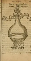 An illustration from Symbola heroica m. Clavdii Paradini, Belliiocensis canonici, et d. Gabrielis Symeonis : multo, quàm antea, fidelius de gallica lingua in latinam conuersa (1600)
