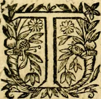 An illustration from Symbolica aegyptiorvm sapientia (1633)