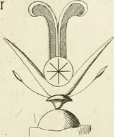 An illustration from Symbolica Dianae Ephesiae statua (1688)
