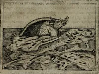 An illustration from Symbolica vitae Christi meditatio (1612)