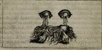 Picture 33 of 112 from Symbolica vitae Christi meditatio (1612), leaf 57