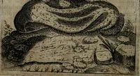 An illustration from Symbolica vitae Christi meditatio (1612)