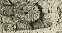An illustration from Symbolism of animals and birds represented in English church architecture (1913)