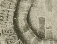 Picture 76 of 120 from Symbolism of animals and birds represented in English church architecture (1913), leaf 166