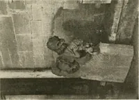 An illustration from Symbolism of animals and birds represented in English church architecture (1913)