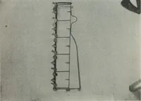 An illustration from Symbolism of animals and birds represented in English architecture (1913)