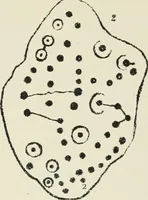 An illustration from Symbolism of the East and West (1900)