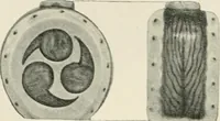 Picture 10 of 49 from Symbolism of the East and West (1900), leaf 81