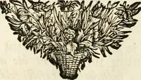 An illustration from Symbolographia, sive, De arte symbolica : sermones septem (1702)