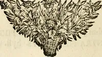 An illustration from Symbolographia, sive, De arte symbolica : sermones septem (1702)