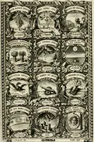 Picture 79 of 211 from Symbolographia, sive, De arte symbolica : sermones septem (1702), leaf 358