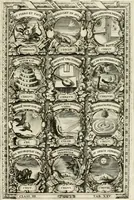 An illustration from Symbolographia, sive, De arte symbolica : sermones septem (1702)