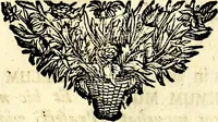 An illustration from Symbolographia, sive De arte symbolica sermones septem (1702)