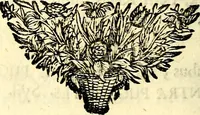 An illustration from Symbolographia, sive De arte symbolica sermones septem (1702)